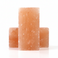 Aurelia Lux Himalayan Salt Brick Panel